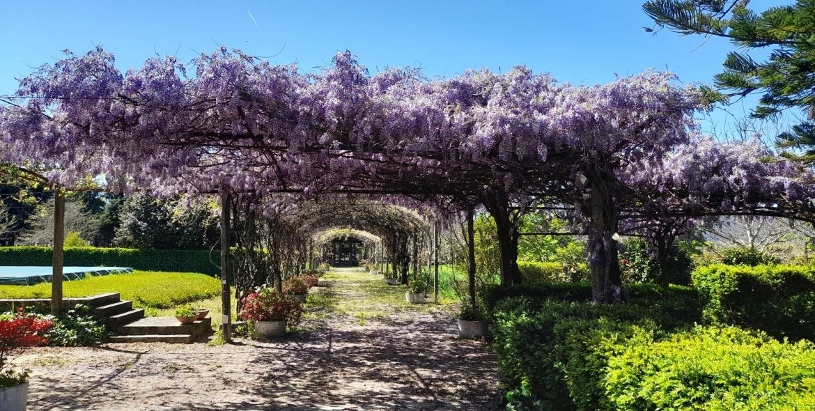 WhatsApp Image 2026-04-08 at 17.18.22